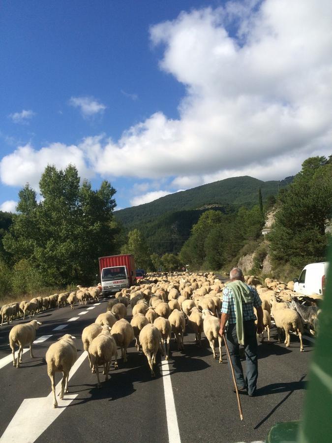Chambres D'Hotes Ferme De Gayri Vielle-Aure Εξωτερικό φωτογραφία